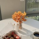 금강르네상스 이미지