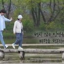 메밀꽃카페 이미지