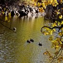 내수면환경생태공원주차장 이미지