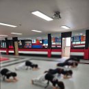 다부진 합기도 이미지