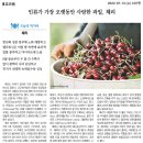 나라앤송이