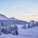 튼튼영어마스터클럽어학원 이미지