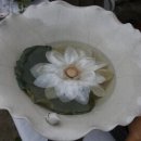 방목흑돼지 이미지