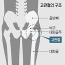루가의원 이미지