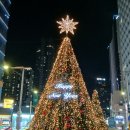 산빛길 | 부산 해운대 빛축제(26.1.18까지)다녀온 후기