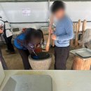 칠갑산산꽃마을 | 겨울여행 청양 알프스마을 외 당일치기 여행후기