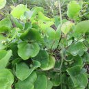 수곡면2 이미지