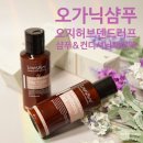 오가닉샴푸 [독일로하스보] 오지허브덴드러프샴푸와 컨디셔닝 헤어팩 세트 사용 후기
