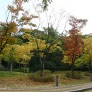 10월25일 -매각 71％ -서울 서부지원 경매4계 2010타경18436 살기 좋은 동네인데 ,,, 이미지