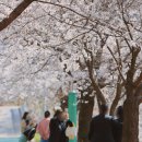 종합버스터미널 건너편 이미지