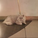 락휴노래연습장 이미지