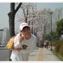 금천구청 앞 이미지