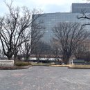 그랜드하얏트서울 | 그랜드 하얏트 서울 남산뷰 호캉스 후기 야외수영장 이용