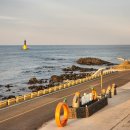 제주인관광호텔 | 포항 글램핑 오션뷰 자쿠지 숙소 제주인포항 카라반