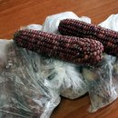 서도정미소 이미지