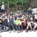 오아시스 이미지