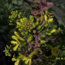 양지어린이집 이미지