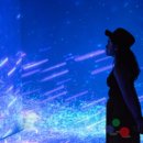 미디어아트 전문 기업 아트리브...인도네시아 이머시브 전시관 ‘Bali immersive room’ 오픈 이미지