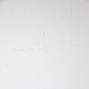 디자인콜라쥬