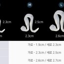 바디프라임 이미지