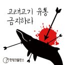 The continuing whale hunting practice and our effort to stop that in South Korea 이미지