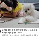 별이 이미지