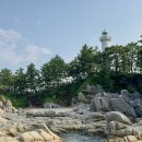 송지호해변(서낭바위) 티스토리