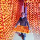 지리산곰실곶감농원 뉴스1