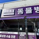 하나병원 | 장호원 하나뿐인 동물 병원 후기 🐾