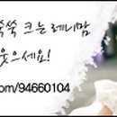 딱좋아 - 울진군 | 딱좋아