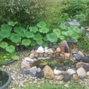 정우농원 이미지