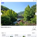 [경기 광주] 봄에도 가기 좋은 화담숲 후기 (예약방법, 스탬프 투어)