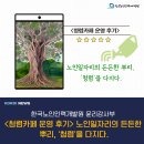 &lt;청렴카페 운영 후기&gt; 노인일자리의 든든한 뿌리, ‘청렴’을 다지다.