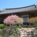 진월 차사리 용암세장 | ★진월세장(용암서당): 전남 광양시 진월면 차사리 776-1(차동길 107-1)