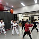 당하경희대태권도장 이미지