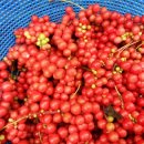 갈마농원 이미지