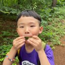 아이뜰유치원 이미지