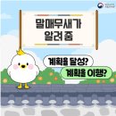 매무새