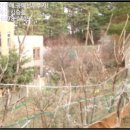 초당동-4 이미지