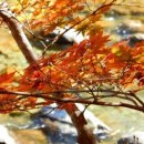 천년약속 이미지