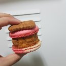 러브하니