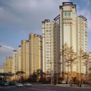 개나리써비스 이미지