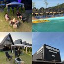 공간 | 순창 아이랑 다녀온 썬웨이어드벤처 글램핑 다녀온 후기