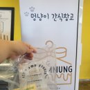 베스티멍 이미지