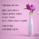 🌸5월13일 출석합니다 ~ 이미지