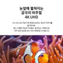 37-D 네이버블로그