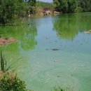 이수표농장 이미지