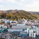 대전당약국 네이버블로그