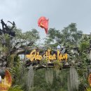 화란 | 나트랑 화란섬 원숭이섬 후기 여행 코스 추천 (광고 X, 내돈내산)