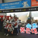 속초붉은대게 이미지